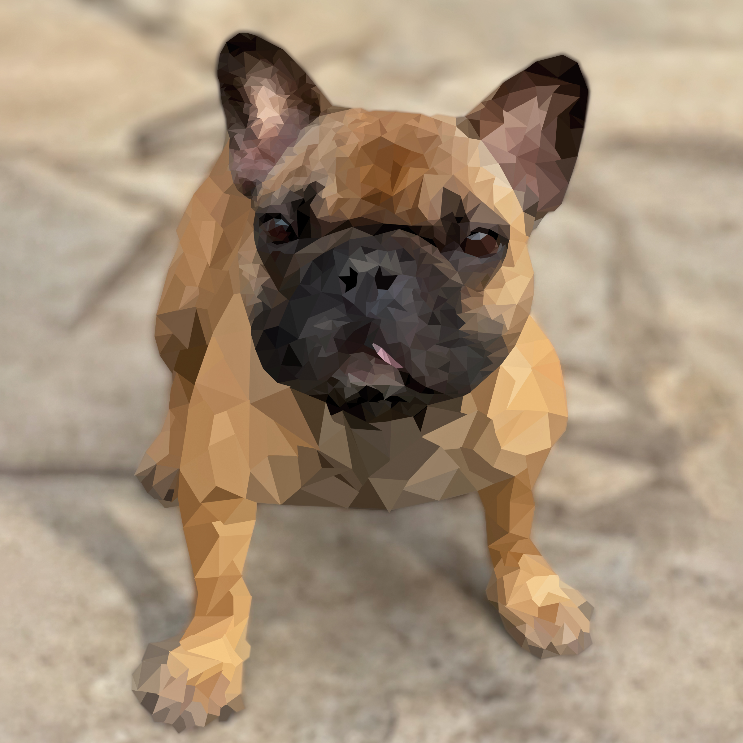 Poly Dog Project Image